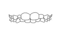 Decorative dental ornament with two tooth shapes flanked by symmetrical leaf designs on white background.